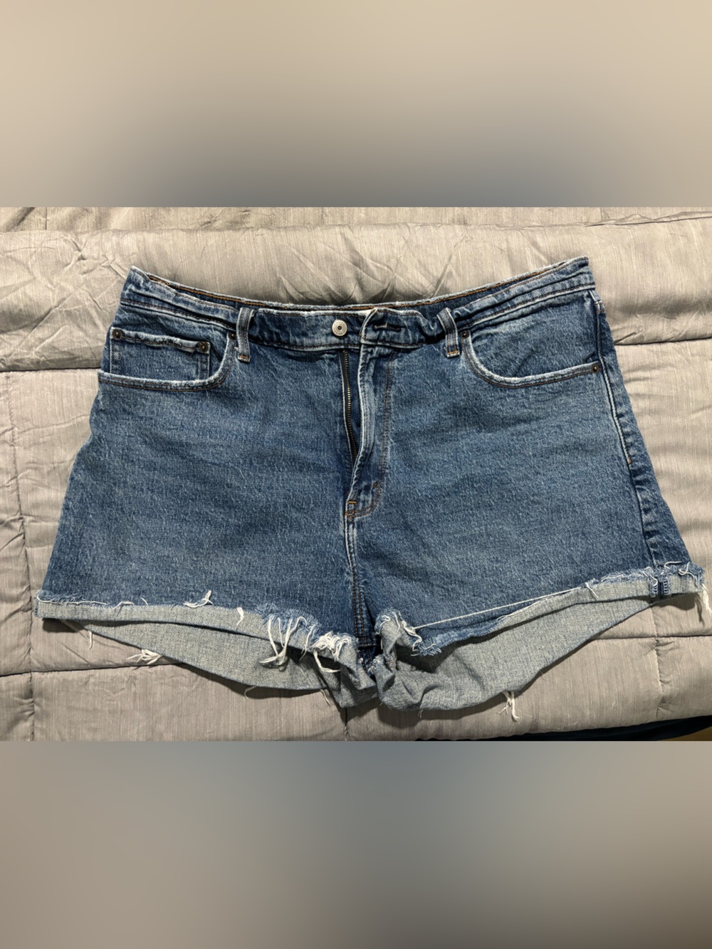 Abercrombie Denim Shorts - Curve Love